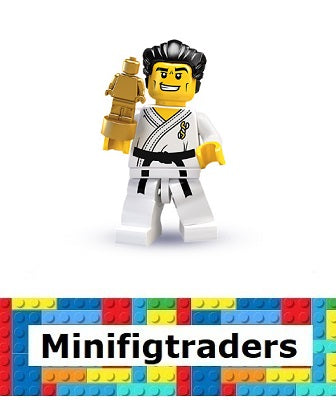 8684 Karate Master, Series 2 (Complete Set with Stand and Accessories) (col02-14)
